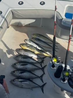 Fishing in Fort Lauderdale, Florida