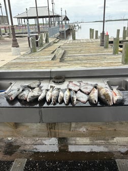 Fishing in Lake Charles, Louisiana