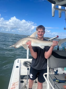 Fishing in New Smyrna Beach, Florida