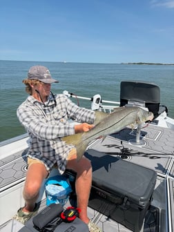 Fishing in Chokoloskee, Florida