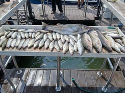 Fishing in Durant, Oklahoma