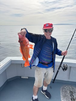 Fishing in Marina del Rey, California