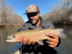 Fishing in Roswell, Georgia