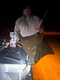 Fishing in Elberta, Alabama