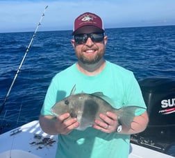 Sheepshead fishing in Hatteras, North Carolina