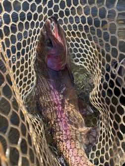 Fishing in Broken Bow, Oklahoma