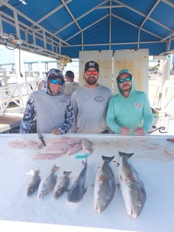 Fishing in Fort Myers Beach, Florida