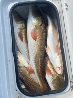 Fishing in South Padre Island, Texas