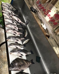 Fishing in D'Iberville, Mississippi