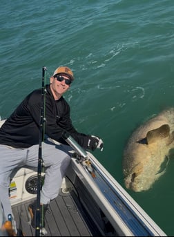 Fishing in Marco Island, Florida