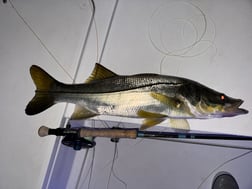 Fishing in Jensen Beach, Florida