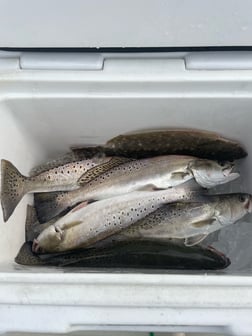 Fishing in Galveston, Texas