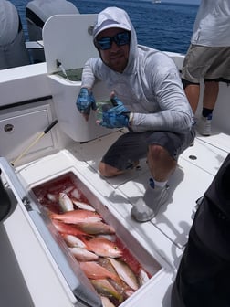 Fishing in Miami, Florida