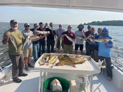 Fishing in Marathon, Florida