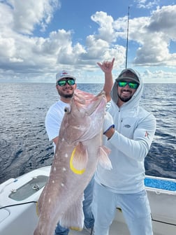 Fishing in Orange Beach, Alabama