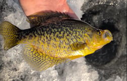 Fishing in Ellsworth, Maine