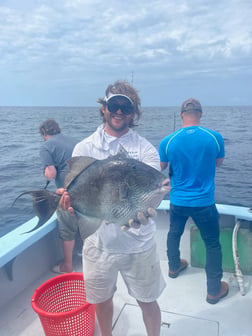 Fishing in Orange Beach, Alabama