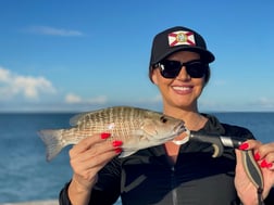 Fishing in Sarasota, Florida