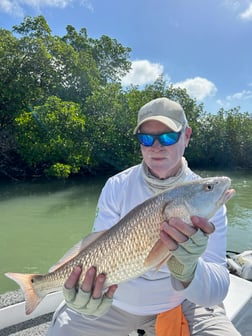 Fishing in Marco Island, Florida