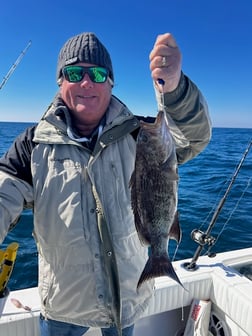 Fishing in Destin, Florida