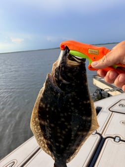 Fishing in Fernandina Beach, Florida