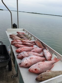 Fishing in Placida, Florida
