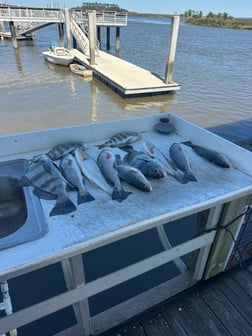 Fishing in Darien, Georgia