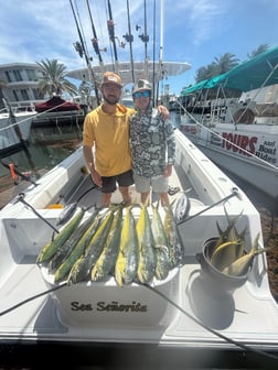 Fishing in Tavernier, Florida