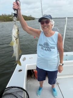 Snook Fishing in Bradenton, Florida