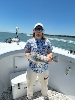 Fishing in Ocean City, Maryland
