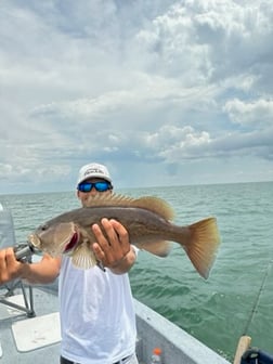 Fishing in Crystal River, Florida