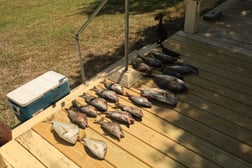 Fishing in Apalachicola, Florida