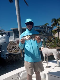 Fishing in Port Charlotte, Florida