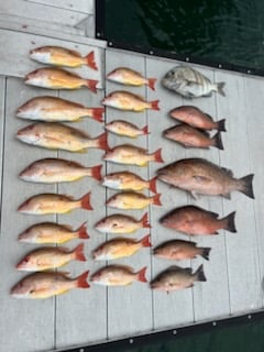 Fishing in Port Orange, Florida