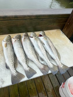 Fishing in New Smyrna Beach, Florida