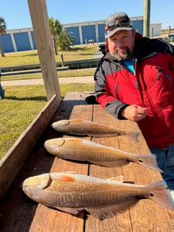 Fishing in Katy, Texas