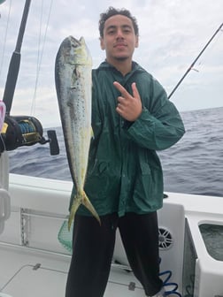Fishing in Key Biscayne, Florida