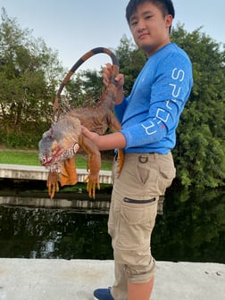 Hunting in Fort Lauderdale, Florida