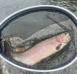 Fishing in Hume, California