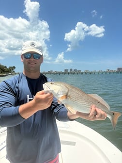 Fishing in Largo, Florida