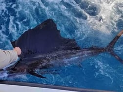 Fishing in Pompano Beach, Florida