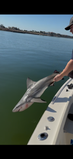 Fishing in Ruskin, Florida