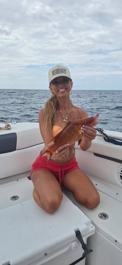 Fishing in Sarasota, Florida