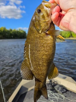 Fishing in Brainerd, Minnesota