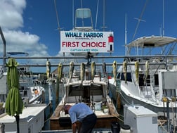 Fishing in Islamorada, Florida