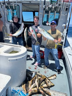 Fishing in Marina del Rey, California