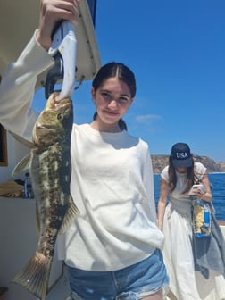 Fishing in Dana Point, California
