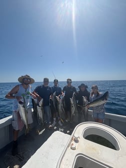 Fishing in Marina del Rey, California