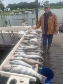 Fishing in Kingston, Oklahoma