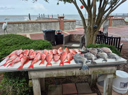 Fishing in St. Marys, Georgia